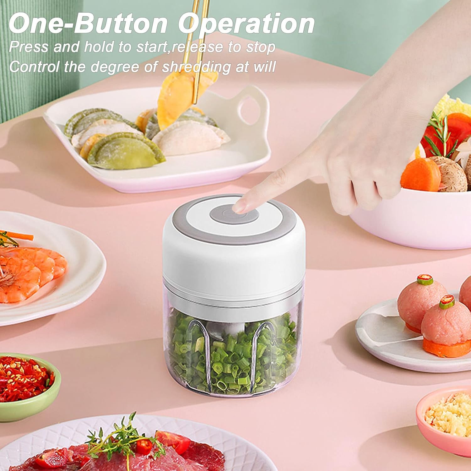 Electric Mini Garlic & Food Chopper
